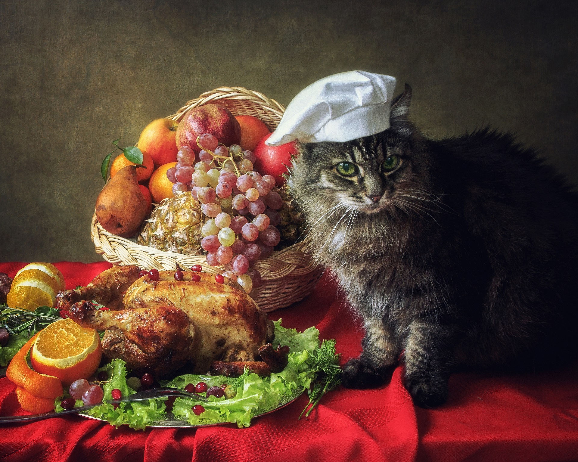 Thanksgiving Foods That are Toxic To Cats - Cat Hospital of Tucson