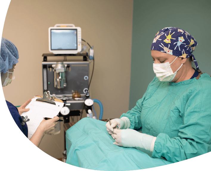 Anesthesia & Surgery