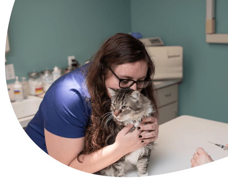 Careers at Cat Hospital of Tucson
