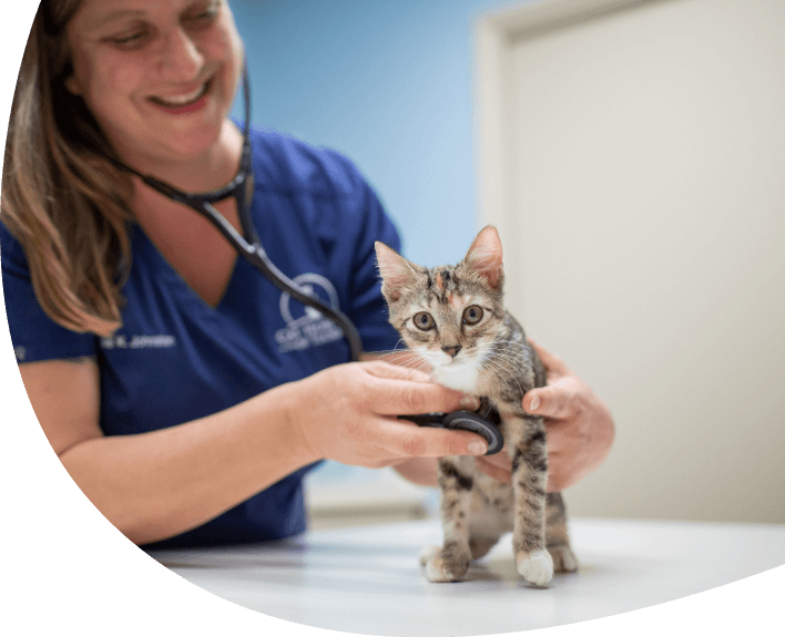 Wellness Care